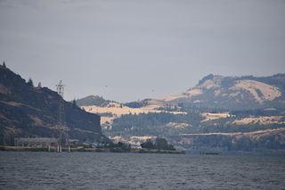 Filename=DSC_2857.JPG
Filesize=16544KiB
Dimensions=7360x4912
Date added=Sep 23, 2019 DSC_2857.JPG