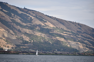 Filename=DSC_2858.JPG
Filesize=19006KiB
Dimensions=7360x4912
Date added=Sep 23, 2019 DSC_2858.JPG