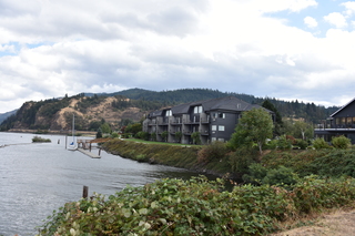 Filename=DSC_2861.JPG
Filesize=18824KiB
Dimensions=7360x4912
Date added=Sep 23, 2019 DSC_2861.JPG