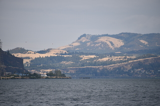 Filename=DSC_2863.JPG
Filesize=16785KiB
Dimensions=7360x4912
Date added=Sep 23, 2019 DSC_2863.JPG