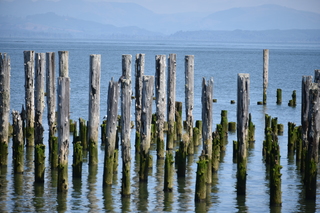 Filename=DSC_2875.JPG
Filesize=19650KiB
Dimensions=7360x4912
Date added=Sep 23, 2019 DSC_2875.JPG