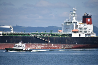 Filename=DSC_2883.JPG
Filesize=17590KiB
Dimensions=7360x4912
Date added=Sep 23, 2019 DSC_2883.JPG