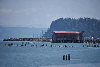 Filename=DSC_2884.JPG
Filesize=16520KiB
Dimensions=7360x4912
Date added=Sep 23, 2019 DSC_2884.JPG