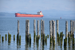 Filename=DSC_2888.JPG
Filesize=19605KiB
Dimensions=7360x4912
Date added=Sep 23, 2019 DSC_2888.JPG