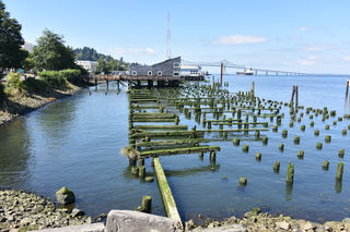 Filename=DSC_2895.JPG
Filesize=21049KiB
Dimensions=7360x4912
Date added=Sep 23, 2019 DSC_2895.JPG