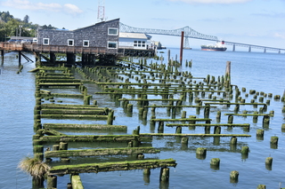 Filename=DSC_2896.JPG
Filesize=21982KiB
Dimensions=7360x4912
Date added=Sep 23, 2019 DSC_2896.JPG