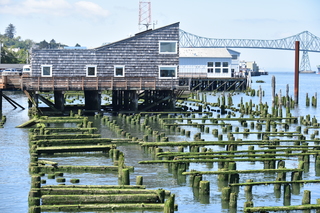 Filename=DSC_2897.JPG
Filesize=22901KiB
Dimensions=7360x4912
Date added=Sep 23, 2019 DSC_2897.JPG