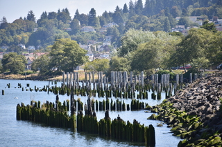 Filename=DSC_2902.JPG
Filesize=21649KiB
Dimensions=7360x4912
Date added=Sep 23, 2019 DSC_2902.JPG