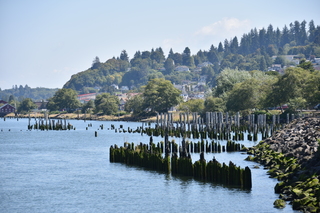 Filename=DSC_2903.JPG
Filesize=20655KiB
Dimensions=7360x4912
Date added=Sep 23, 2019 DSC_2903.JPG