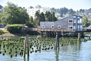 Filename=DSC_2906.JPG
Filesize=23159KiB
Dimensions=7360x4912
Date added=Sep 23, 2019 DSC_2906.JPG