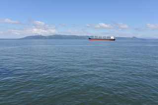 Filename=DSC_2908.JPG
Filesize=18354KiB
Dimensions=7360x4912
Date added=Sep 23, 2019 DSC_2908.JPG