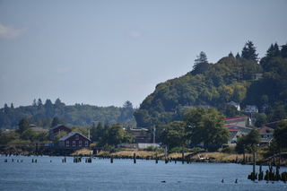 Filename=DSC_2911.JPG
Filesize=16720KiB
Dimensions=7360x4912
Date added=Sep 23, 2019 DSC_2911.JPG