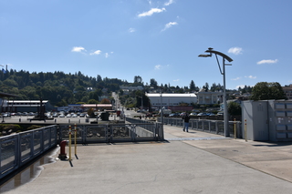 Filename=DSC_2913.JPG
Filesize=18199KiB
Dimensions=7360x4912
Date added=Sep 23, 2019 DSC_2913.JPG