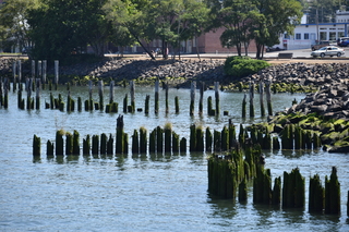 Filename=DSC_2920.JPG
Filesize=21973KiB
Dimensions=7360x4912
Date added=Sep 23, 2019 DSC_2920.JPG