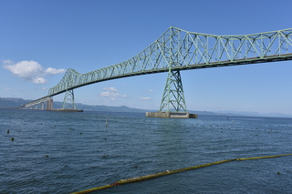 Filename=DSC_2929.JPG
Filesize=20016KiB
Dimensions=7360x4912
Date added=Sep 23, 2019 DSC_2929.JPG