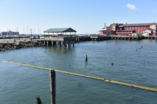 Filename=DSC_2930.JPG
Filesize=21025KiB
Dimensions=7360x4912
Date added=Sep 23, 2019 DSC_2930.JPG