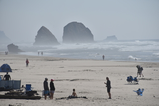 Filename=DSC_2932.JPG
Filesize=14826KiB
Dimensions=7360x4912
Date added=Sep 23, 2019 DSC_2932.JPG