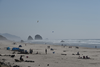 Filename=DSC_2933.JPG
Filesize=16216KiB
Dimensions=7360x4912
Date added=Sep 23, 2019 DSC_2933.JPG