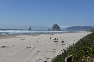 Filename=DSC_2934.JPG
Filesize=17378KiB
Dimensions=7360x4912
Date added=Sep 23, 2019 DSC_2934.JPG