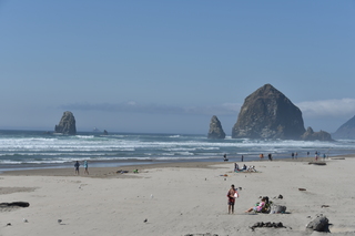 Filename=DSC_2936.JPG
Filesize=16181KiB
Dimensions=7360x4912
Date added=Sep 23, 2019 DSC_2936.JPG