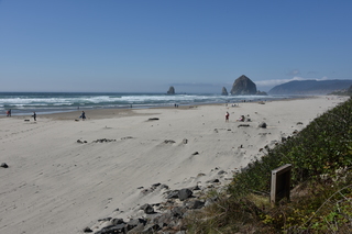 Filename=DSC_2937.JPG
Filesize=19150KiB
Dimensions=7360x4912
Date added=Sep 23, 2019 DSC_2937.JPG