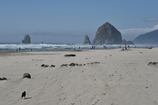 Filename=DSC_2938.JPG
Filesize=16799KiB
Dimensions=7360x4912
Date added=Sep 23, 2019 DSC_2938.JPG