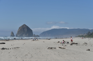 Filename=DSC_2939.JPG
Filesize=15868KiB
Dimensions=7360x4912
Date added=Sep 23, 2019 DSC_2939.JPG