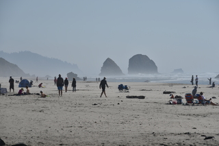 Filename=DSC_2940.JPG
Filesize=16042KiB
Dimensions=7360x4912
Date added=Sep 23, 2019 DSC_2940.JPG