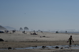 Filename=DSC_2941.JPG
Filesize=17520KiB
Dimensions=7360x4912
Date added=Sep 23, 2019 DSC_2941.JPG