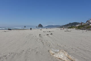 Filename=DSC_2943.JPG
Filesize=17428KiB
Dimensions=7360x4912
Date added=Sep 23, 2019 DSC_2943.JPG