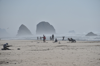 Filename=DSC_2945.JPG
Filesize=14790KiB
Dimensions=7360x4912
Date added=Sep 23, 2019 DSC_2945.JPG