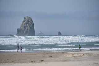 Filename=DSC_2946.JPG
Filesize=15274KiB
Dimensions=7360x4912
Date added=Sep 23, 2019 DSC_2946.JPG