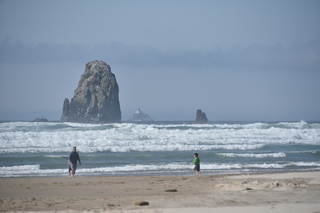 Filename=DSC_2947.JPG
Filesize=15286KiB
Dimensions=7360x4912
Date added=Sep 23, 2019 DSC_2947.JPG