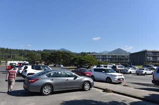 Filename=DSC_2958.JPG
Filesize=17400KiB
Dimensions=7360x4912
Date added=Sep 23, 2019 DSC_2958.JPG