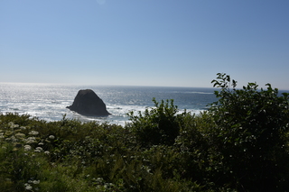 Filename=DSC_2961.JPG
Filesize=19425KiB
Dimensions=7360x4912
Date added=Sep 23, 2019 DSC_2961.JPG