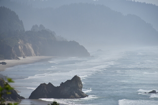 Filename=DSC_2966.JPG
Filesize=15145KiB
Dimensions=7360x4912
Date added=Sep 23, 2019 DSC_2966.JPG