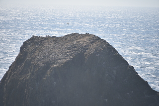 Filename=DSC_2973.JPG
Filesize=20096KiB
Dimensions=7360x4912
Date added=Sep 23, 2019 DSC_2973.JPG