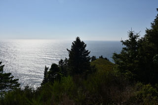 Filename=DSC_2978.JPG
Filesize=20571KiB
Dimensions=7360x4912
Date added=Sep 23, 2019 DSC_2978.JPG