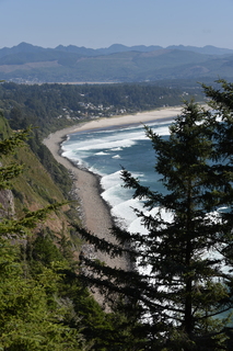 Filename=DSC_2983.JPG
Filesize=19179KiB
Dimensions=4912x7360
Date added=Sep 23, 2019 DSC_2983.JPG