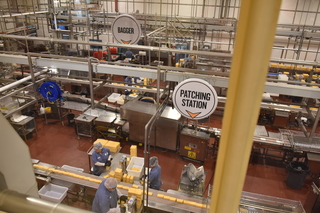 Filename=DSC_2997.JPG
Filesize=17599KiB
Dimensions=7360x4912
Date added=Sep 23, 2019 DSC_2997.JPG