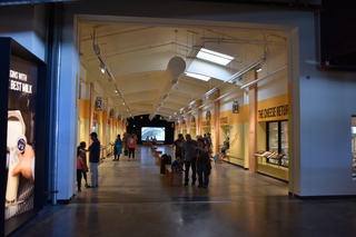 Filename=DSC_3004.JPG
Filesize=15794KiB
Dimensions=7360x4912
Date added=Sep 23, 2019 DSC_3004.JPG