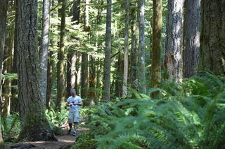 Filename=DSC_3011.JPG
Filesize=21089KiB
Dimensions=7360x4912
Date added=Sep 23, 2019 DSC_3011.JPG