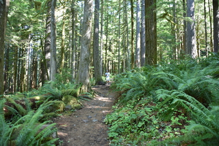 Filename=DSC_3012.JPG
Filesize=23850KiB
Dimensions=7360x4912
Date added=Sep 23, 2019 DSC_3012.JPG