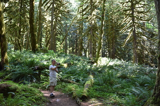 Filename=DSC_3015.JPG
Filesize=23809KiB
Dimensions=7360x4912
Date added=Sep 23, 2019 DSC_3015.JPG