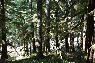 Filename=DSC_3016.JPG
Filesize=23365KiB
Dimensions=7360x4912
Date added=Sep 23, 2019 DSC_3016.JPG