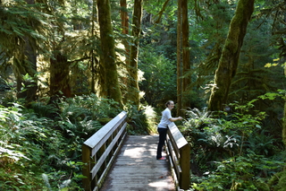 Filename=DSC_3017.JPG
Filesize=20981KiB
Dimensions=7360x4912
Date added=Sep 23, 2019 DSC_3017.JPG