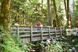 Filename=DSC_3021.JPG
Filesize=22642KiB
Dimensions=7360x4912
Date added=Sep 23, 2019 DSC_3021.JPG