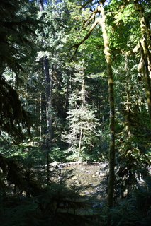 Filename=DSC_3022.JPG
Filesize=20325KiB
Dimensions=4912x7360
Date added=Sep 23, 2019 DSC_3022.JPG