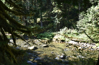 Filename=DSC_3026.JPG
Filesize=23549KiB
Dimensions=7360x4912
Date added=Sep 23, 2019 DSC_3026.JPG