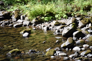 Filename=DSC_3030.JPG
Filesize=23160KiB
Dimensions=7360x4912
Date added=Sep 23, 2019 DSC_3030.JPG